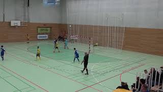 Halbfinal BSC Old Boys Basel FE13  FC Concordia Basel FE13 19012019 [upl. by Meris]