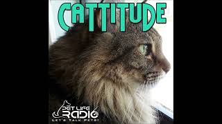 Cattitude  Episode 95 Cats Are A Liquid [upl. by Laflam]