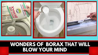 How To Use Borax For Cleaning Cleaning Hacks That Will Blow Your Mind [upl. by Wolff]