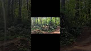 Massive Whopping drop at Alsea mountainbikejumps mountainbike trending downhill mtbjumps [upl. by Hausmann]