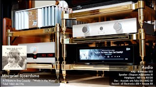 Diapason Adamantes III Acoustic arts tube dac MK2 SEtube  Psvane 12ax7s Art  Margriet Sjoerdsma [upl. by Alistair]