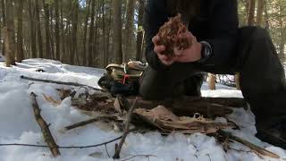 Fire with the BOW DRILL method in Canada [upl. by Knutson894]