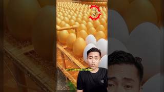 Amazing kreative skill proses mewarnai telur telur amazing shortvideo [upl. by Valsimot]