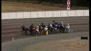 race fall at menangle with100m to go [upl. by Annaierb]