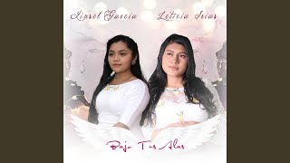 Bajo Tus Alas feat Leticia Irias [upl. by Maurey689]