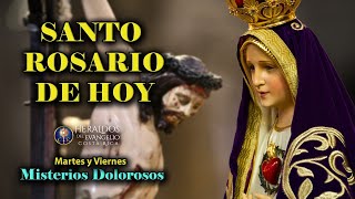 🙏🏻 Día de San Joaquin y Santa Ana Misterios Dolorosos del Santo Rosario  Viernes 26 de Julio 2024 [upl. by Blodget30]