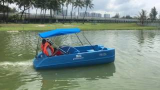 Pioner trio paddle boats [upl. by Ignatzia893]