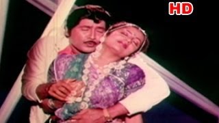 RamayyaVasthavayya Movie IdhiRanarangam Song Shorts [upl. by Ecyak921]