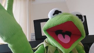 Kermit sings rainbow connection [upl. by Silverstein553]