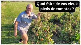 Quoi faire de vos vieux pieds de tomates en fin de saison [upl. by Anire]