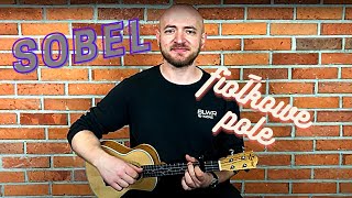 Jak zagrać na ukulele Fiołkowe pole  Sobel TUTORIAL NAUKA COVER [upl. by Malvina33]