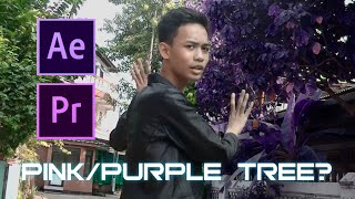 Cara Mengubah Warna Pohon Jadi PinkUngu Lavender [upl. by Beeson]