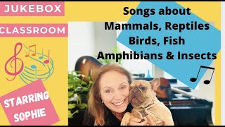 Sing songs about Mammals Reptiles Birds Fish Amphibians amp Insects with Mrs Virginia and Sophie [upl. by Hailey]