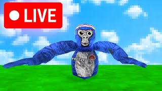 600 Sub Livestream Gorilla Tag Live [upl. by Ajam]