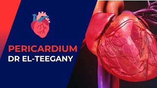 Pericardium  CVS [upl. by Suzie]