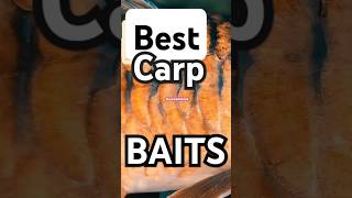 Best CARP Fishing Bait  Nutrition vs Natural carpbait carpfishing carpfishingsouthafrica [upl. by Egan]