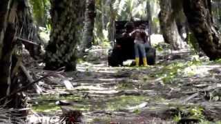 Argo Titan 8x8 Oil Palm FFB Transporter On Peat Soilflv [upl. by Erving]