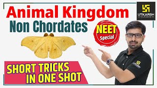 Animal Kingdom Non Chordates  Hindi Medium  Short Tricks  Biology  By Surendra Sir [upl. by Inah]