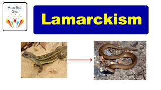 Lamarck Theory Of Evolution  Lamarckism pardhaighar [upl. by Orelu]