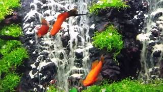 Three Waterfalls   Aquarium sand waterfall 49 [upl. by Learrsi143]