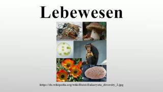 Lebewesen [upl. by Gwenore521]