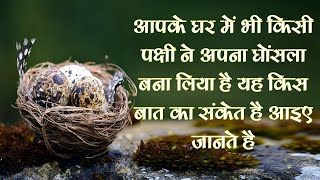 Birds Nest आपके घर में भी किसी पक्षी ने अपना घोंसला बना लिया है यह किस बात का संकेत है आइए जानते है [upl. by Lura723]