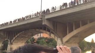 AUSTIN TEXAS South Congress Bridge Bats August 2016 [upl. by Cardon391]