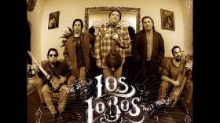 Los Lobos Cumbia Raza [upl. by Asilehc755]