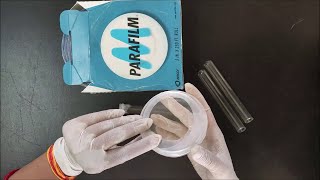 How to Use Paraffin Film  Parafilm  Use of Parafilm  लैब में पैरा फिल्म का उपयोग कैसे करते हैं [upl. by Neeloj591]