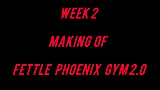 Week 2 of Making Fettle Phoenix Gym 20 🐦‍🔥  Near Dental collage  Sundernagar [upl. by Marco]