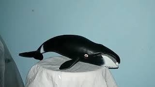 Bowhead Whale Toy Review [upl. by Hcaz]