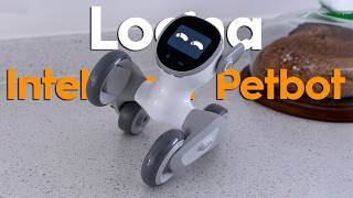 Loona PETBOT The Most LifeLike Assistant [upl. by Acassej]