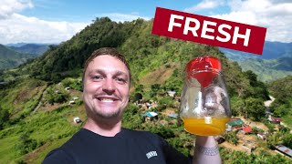 Fresh Calamansi Juice From The Farm Exploring Davao City [upl. by Yttocs]