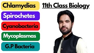 Chlamydias Spirochetes Cyanobacteria Gram positive bacteria Mycoplasmas in pashto [upl. by Mellette167]