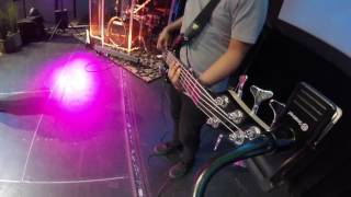 Your Love Awakens Me by Phil Wickham Bass Cover [upl. by Ahsienod]