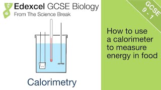 7 Edexcel GCSE Biology  Calorimetry [upl. by Gotthard653]