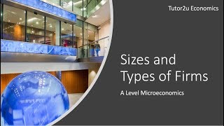 Sizes and Types of Firms I A Level and IB Economics [upl. by Tandie]