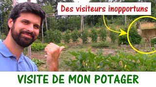 VISITE DU JARDIN POTAGER [upl. by Idissac156]