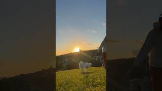 Lulubog na nman Ang araw sunset viralshort shortvideo kabudoytv [upl. by Litnahc]