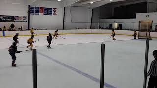 Live streaming of Mankato Peewee A 2024 [upl. by Calida]