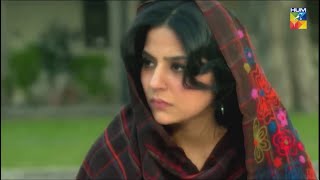 Shehwar Ka Hone Wala Dulha Kitna Smart Hai sanambaloch mikaalzulfiqar  Durr e Shehwar  HUM TV [upl. by Inglis]