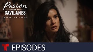 Pasión de Gavilanes New Season  Episode 20  Telemundo English [upl. by Ballard]