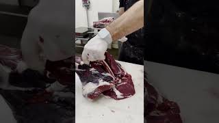 Removing the Deer Femur Bone 🔪🦌 shorts deer venison butcher [upl. by Donaghue502]