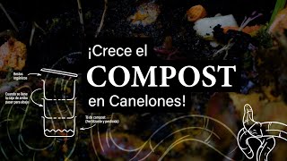 Mirá como creció el compost en Canelones [upl. by Violetta]