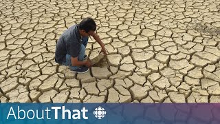 How global climate change affects Canadians  About That [upl. by Modeerf]