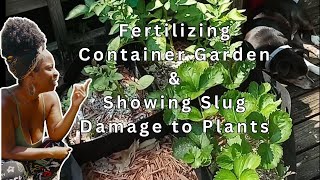 From Fertilization Strategies to Slug Invasion Elevate Your Garden Game [upl. by Francyne428]