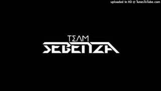 Hamba Yedwa  Team Sebenza [upl. by Osnerol]