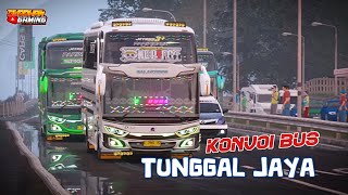 Konvoi bus Tunggal Jaya  Assetto Corsa Indonesia [upl. by Shama]