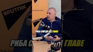 Predrag Popović Pop Riba smrdi od glave miljanovkorner fudbal partizan [upl. by Kawai]