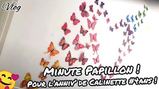 VLOG  Minute Papillon  Pour lAnniv de Calinette 🥳 😍 🥰 😘 [upl. by Harper810]